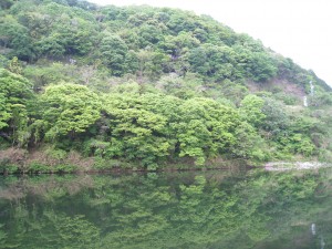 IMG_0761