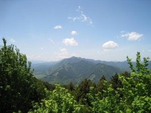 IMG_0769