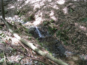 IMG_0770