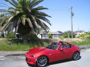 IMG_0777