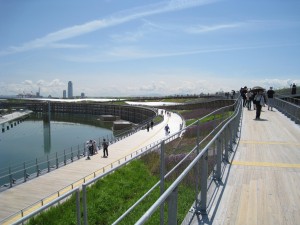 IMG_0852