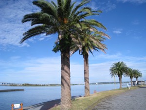 IMG_0989
