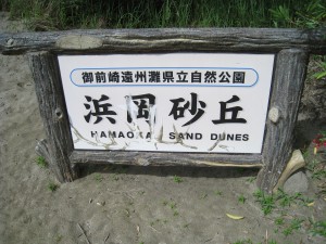 IMG_0995