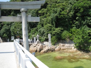 IMG_1132