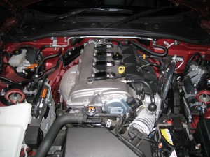 IMG_1212