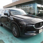 バリモンのＣＸ-5入荷