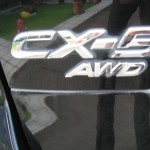 4WD全天候クルージングok