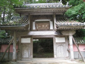 IMG_1356