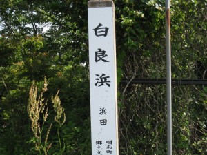 IMG_0443