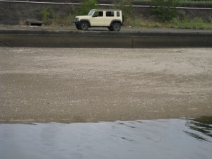 IMG_0050