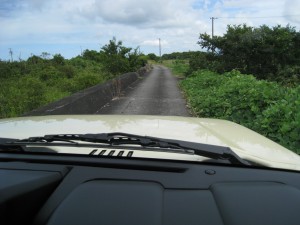 IMG_0052